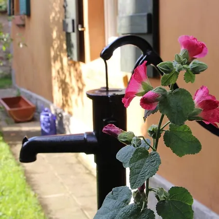 公寓 Magdalenenhof Am Huywald - Kornboden Mit Aussicht