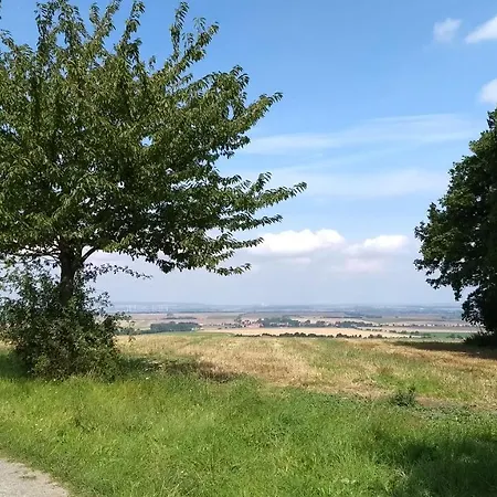 Magdalenenhof Am Huywald - Kornboden Mit Aussicht 公寓