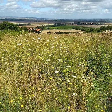 Daire Magdalenenhof Am Huywald - Kornboden Mit Aussicht Dingelstedt