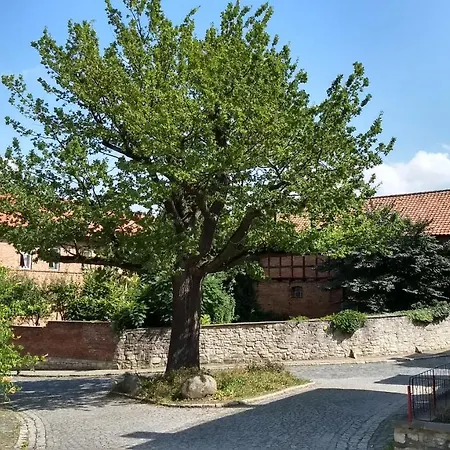 Magdalenenhof Am Huywald - Kornboden Mit Aussicht * Dingelstedt