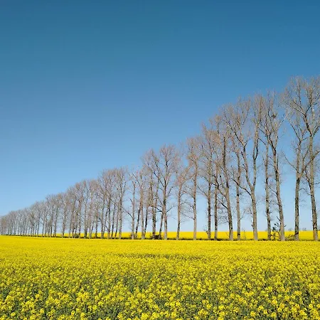 公寓 Magdalenenhof Am Huywald - Kornboden Mit Aussicht