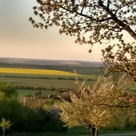 Magdalenenhof Am Huywald - Kornboden Mit Aussicht