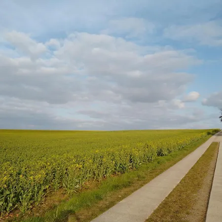 Magdalenenhof Am Huywald - Kornboden Mit Aussicht