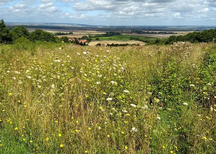 Διαμέρισμα Magdalenenhof Am Huywald - Kornboden Mit Aussicht Dingelstedt