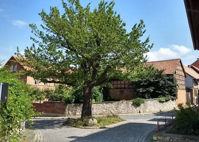 Magdalenenhof Am Huywald - Kornboden Mit Aussicht * Dingelstedt