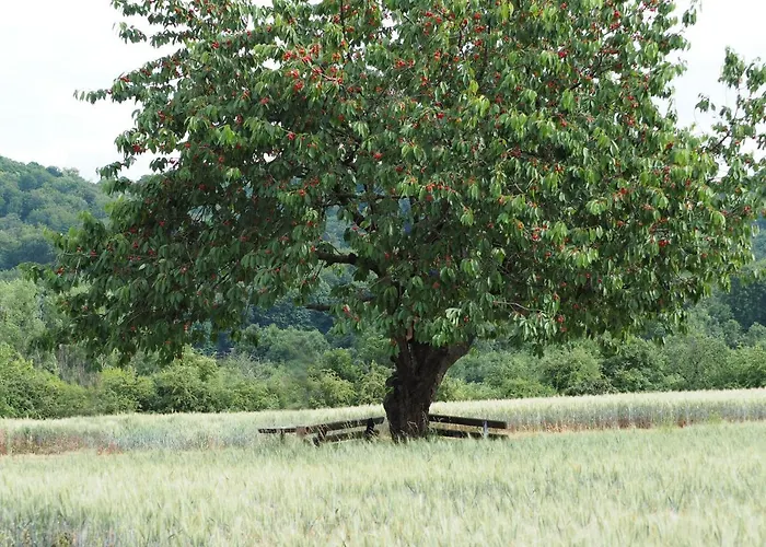 Magdalenenhof Am Huywald - Kornboden Mit Aussicht Dingelstedt