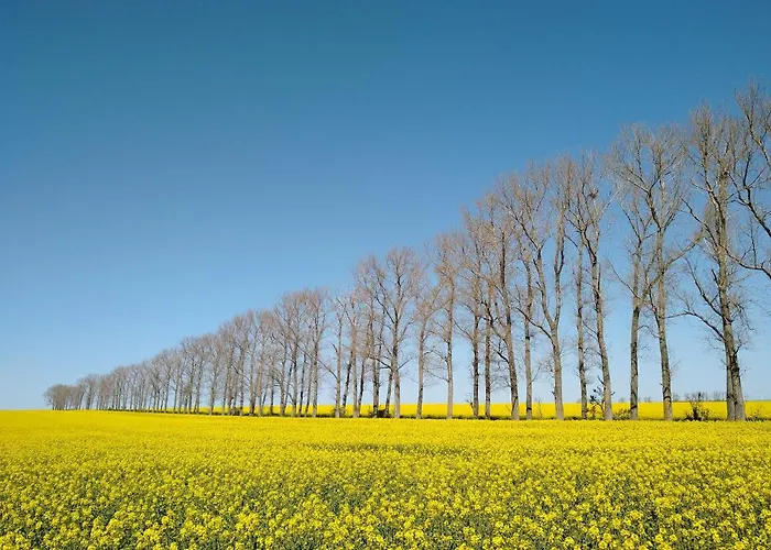 Διαμέρισμα Magdalenenhof Am Huywald - Kornboden Mit Aussicht