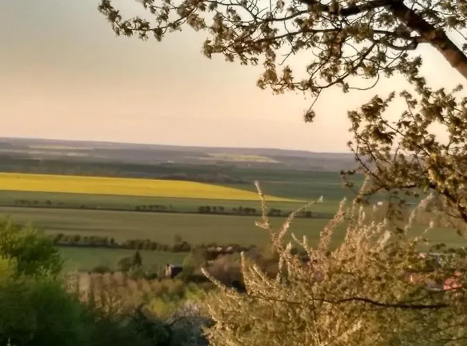 Magdalenenhof Am Huywald - Kornboden Mit Aussicht