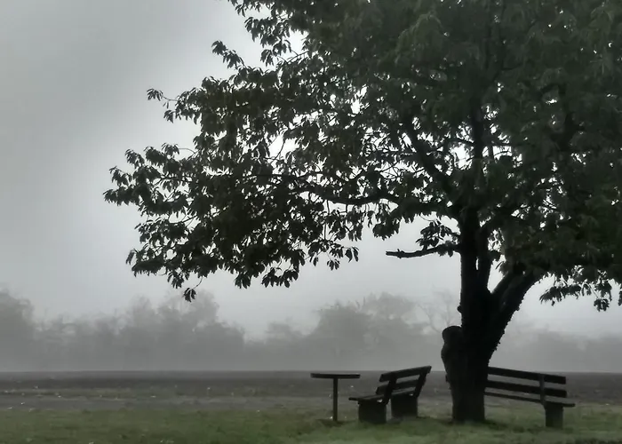 Magdalenenhof Am Huywald - Kornboden Mit Aussicht *