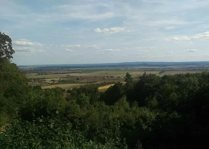 Magdalenenhof Am Huywald - Kornboden Mit Aussicht Dingelstedt