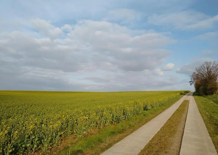 Magdalenenhof Am Huywald - Kornboden Mit Aussicht